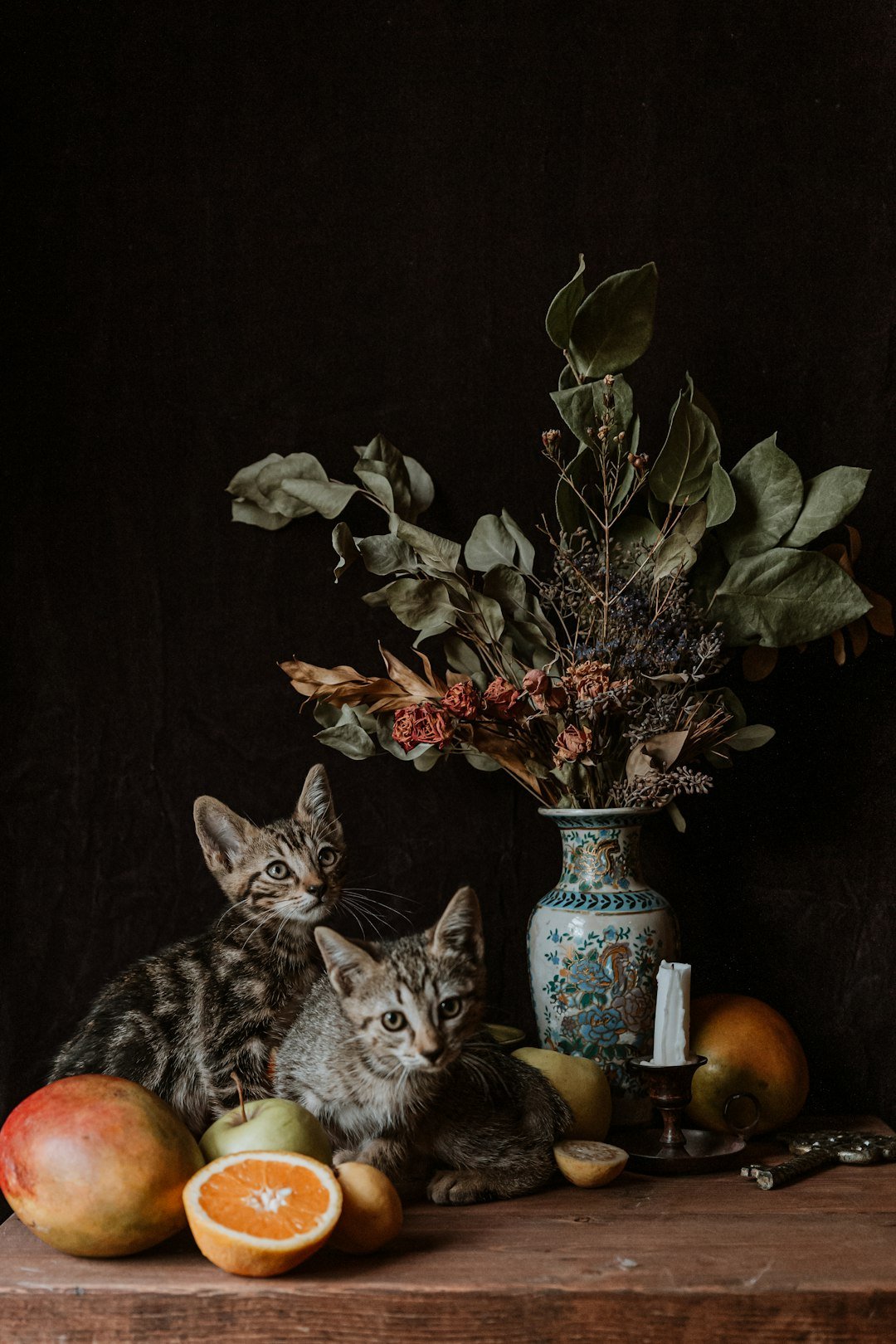brown tabby cat beside green plant