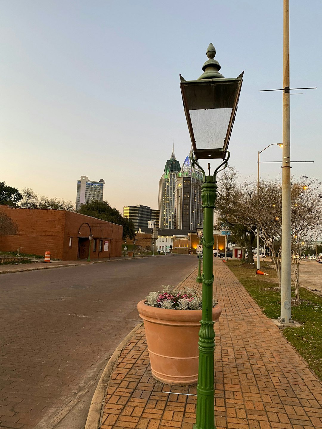 A lamp post with a potted plant on the side of it
