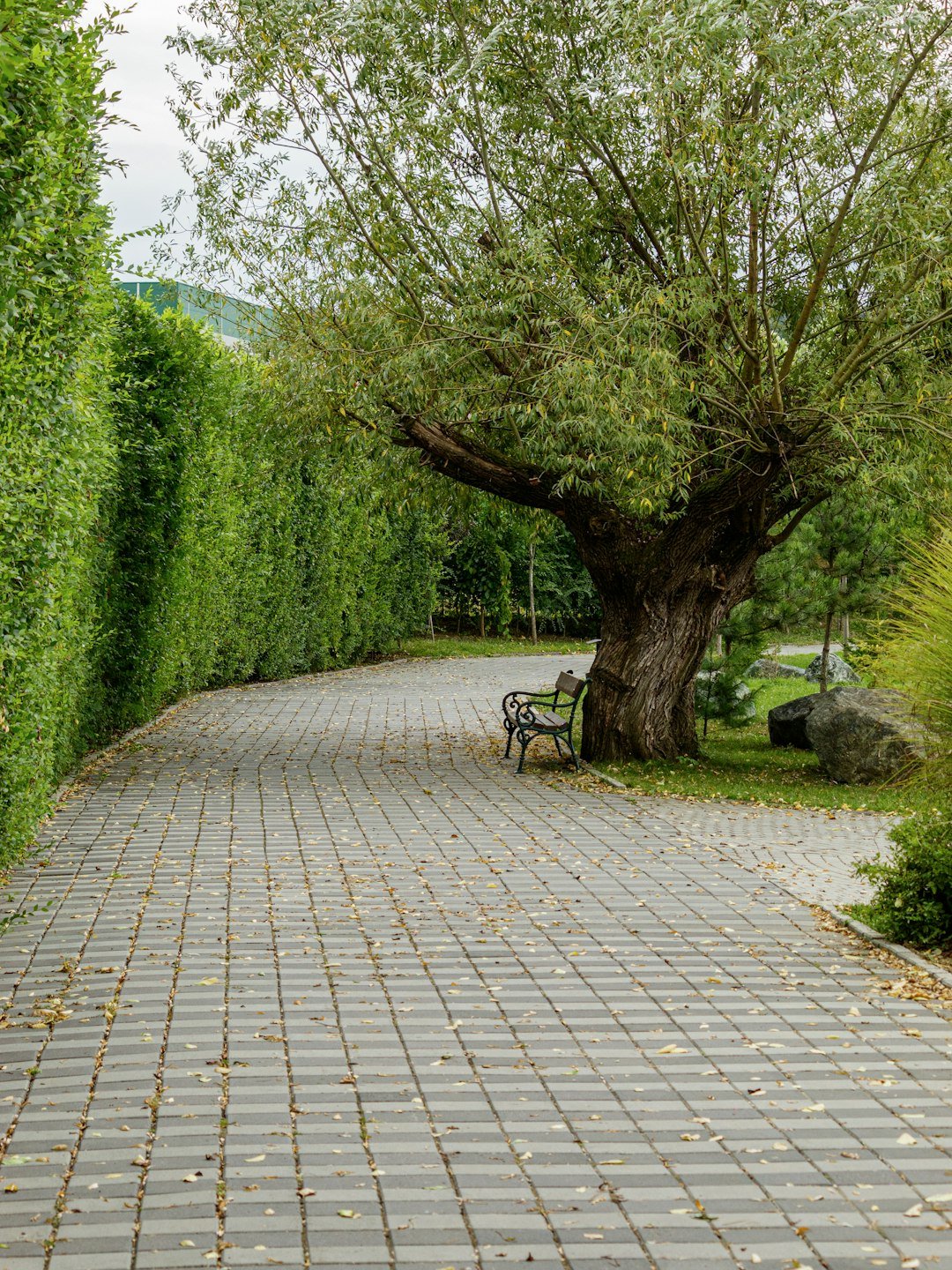 a bench under a tree on a brick walkway